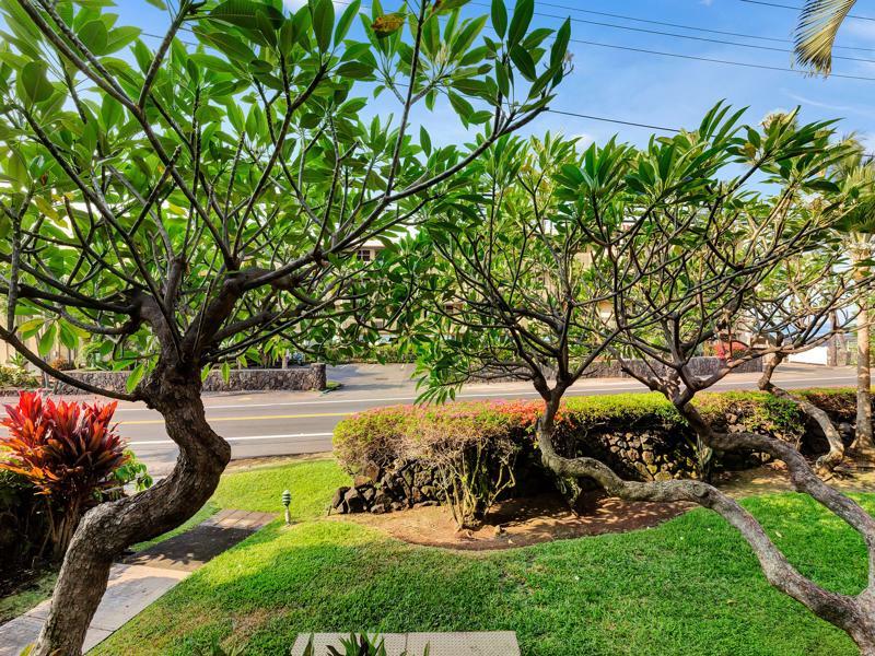 Castle Kona Bali Kai A Condominium Resort 霍卢阿洛阿 外观 照片